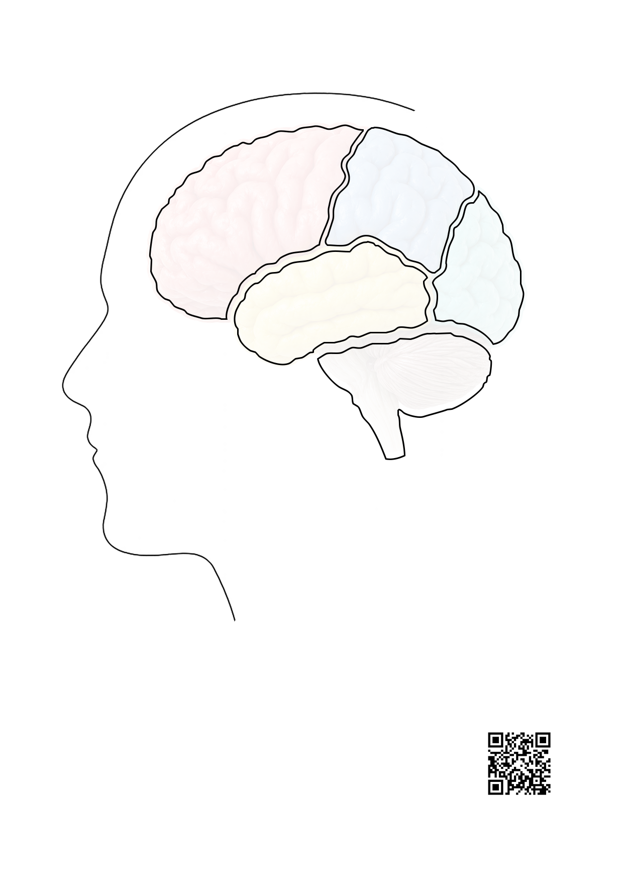 Profil de cap spre stânga, cu patru lobi cerebrali conturați și o regiune inferioară cu cerebel și prelungire în jos; cod QR jos, în dreapta.
