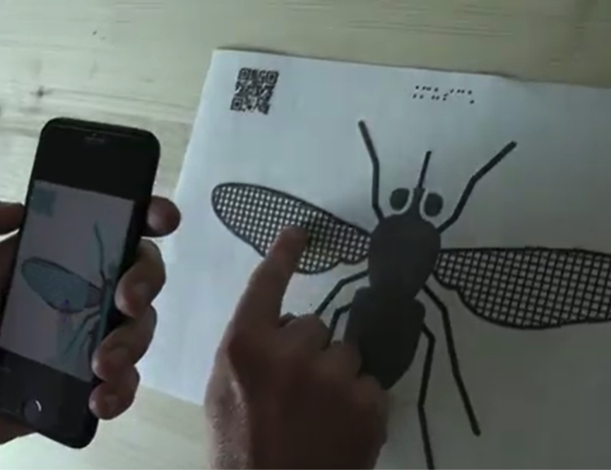 Explorează prin atingere